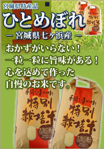 宮城県七ヶ浜産ひとめぼれ